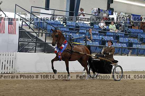 Proof Number 10r14_0540