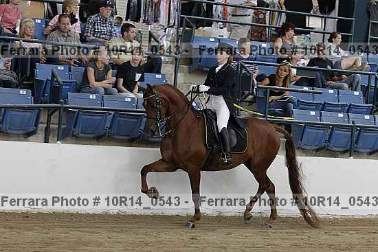 Proof Number 10r14_0543