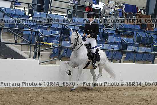 Proof Number 10r14_0570
