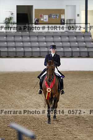 Proof Number 10r14_0572