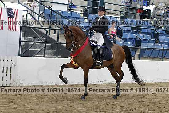 Proof Number 10r14_0574