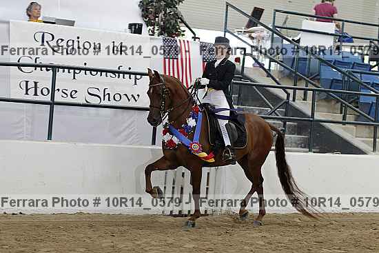 Proof Number 10r14_0579