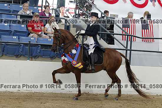 Proof Number 10r14_0580