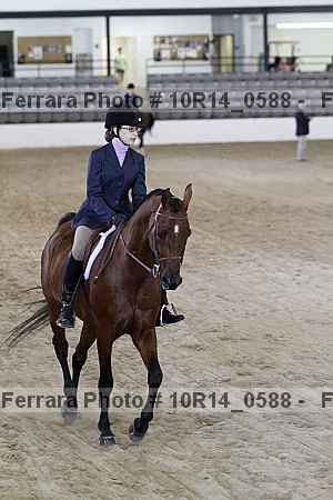 Proof Number 10r14_0588