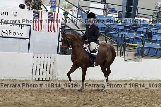 Proof Number 10r14_0618