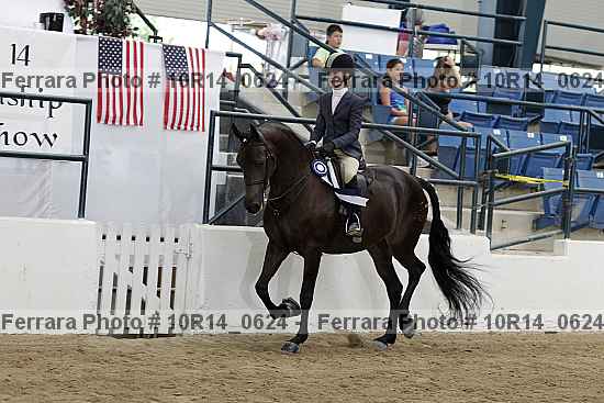 Proof Number 10r14_0624