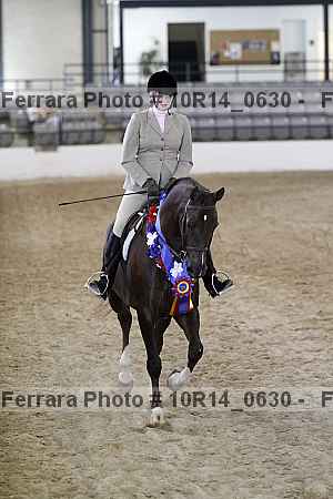 Proof Number 10r14_0630