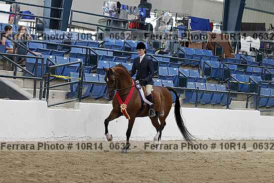 Proof Number 10r14_0632