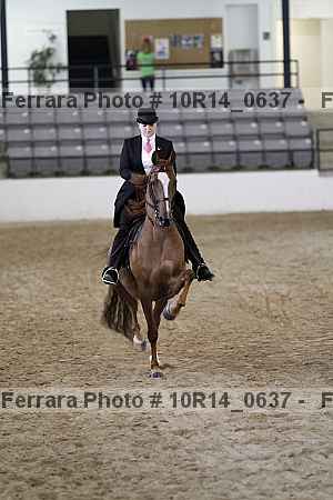 Proof Number 10r14_0637