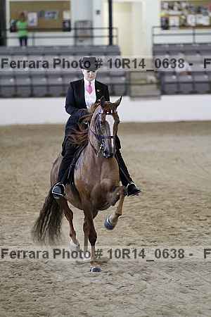 Proof Number 10r14_0638