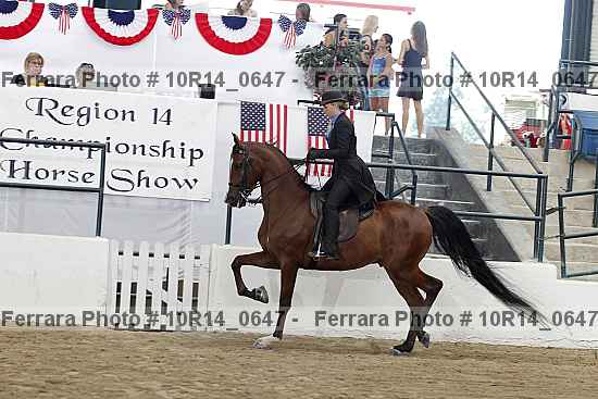 Proof Number 10r14_0647