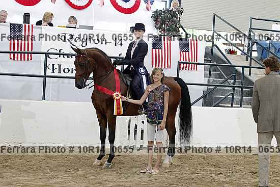 Proof Number 10r14_0655