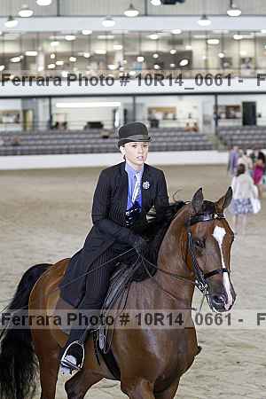 Proof Number 10r14_0661