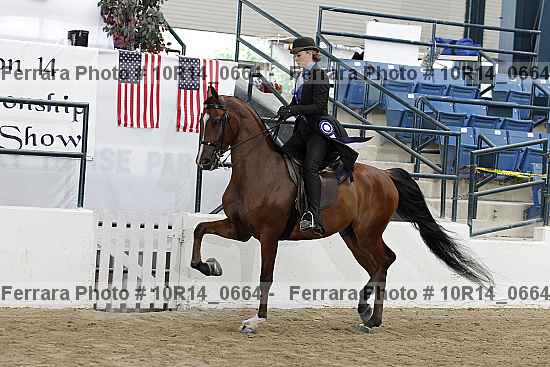 Proof Number 10r14_0664
