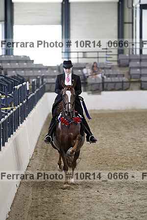 Proof Number 10r14_0666