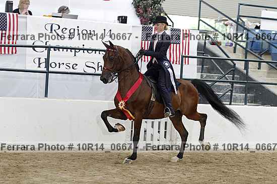 Proof Number 10r14_0667