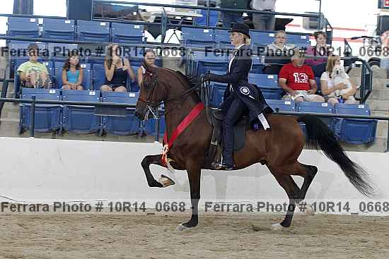 Proof Number 10r14_0668