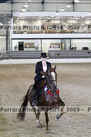 Proof Number 10r14_0669