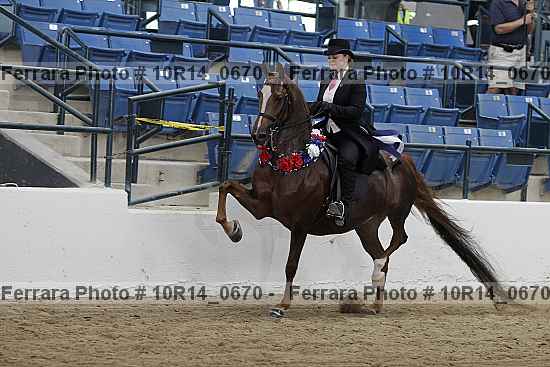 Proof Number 10r14_0670