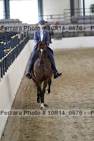 Proof Number 10r14_0676