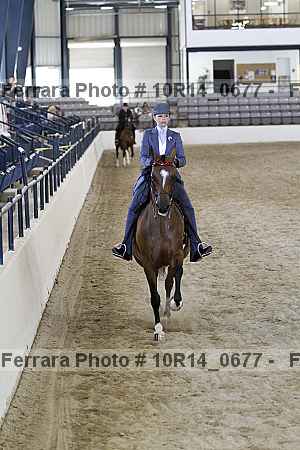 Proof Number 10r14_0677