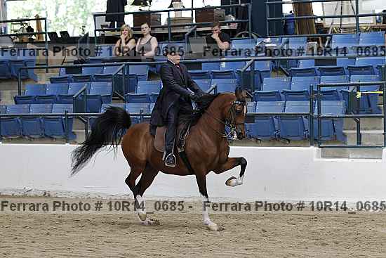Proof Number 10r14_0685