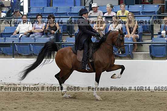 Proof Number 10r14_0686