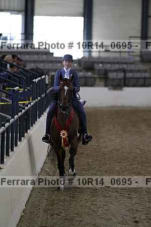 Proof Number 10r14_0695
