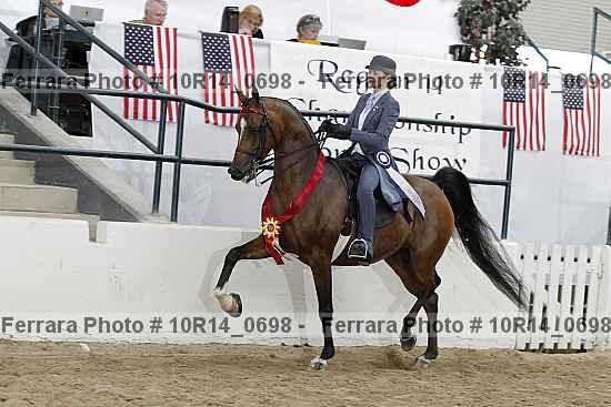 Proof Number 10r14_0698