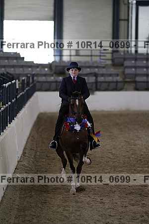 Proof Number 10r14_0699
