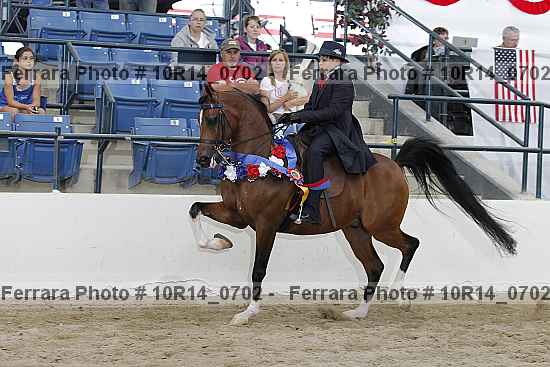 Proof Number 10r14_0702