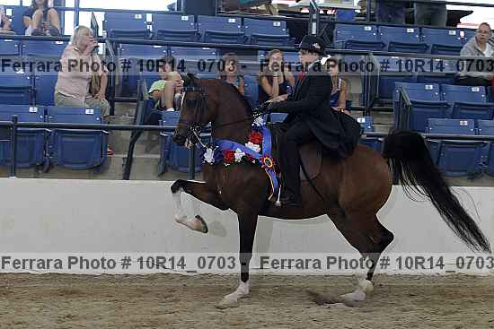 Proof Number 10r14_0703