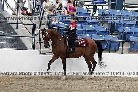 Proof Number 10r14_0730