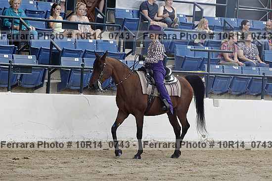 Proof Number 10r14_0743