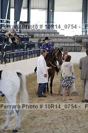 Proof Number 10r14_0754