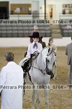 Proof Number 10r14_0764
