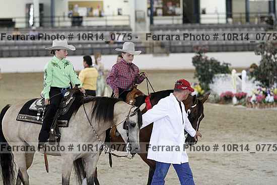 Proof Number 10r14_0775