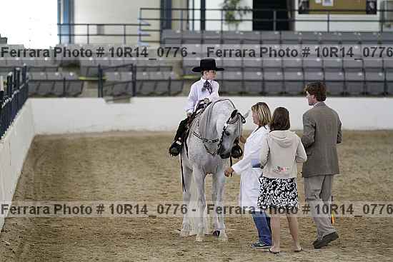 Proof Number 10r14_0776