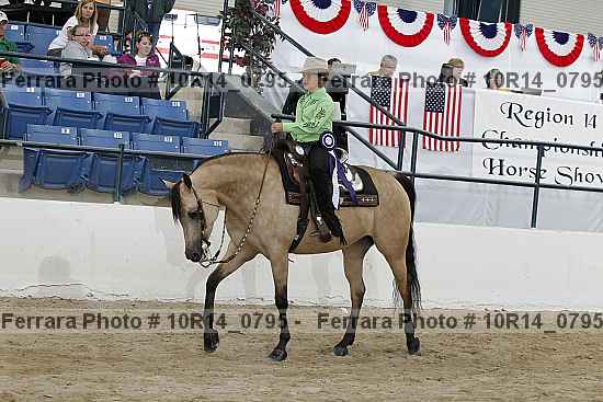 Proof Number 10r14_0795