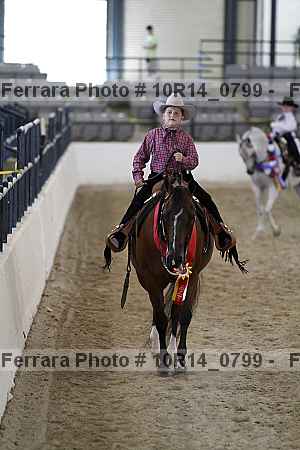 Proof Number 10r14_0799