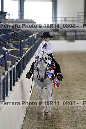 Proof Number 10r14_0804
