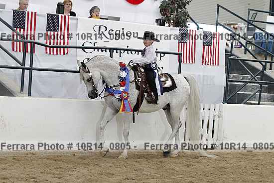 Proof Number 10r14_0805