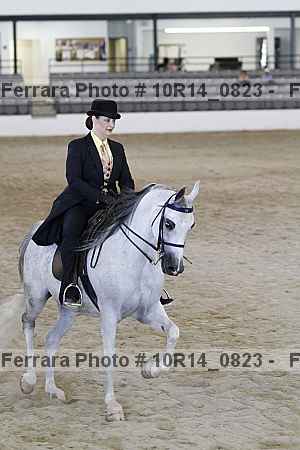 Proof Number 10r14_0823