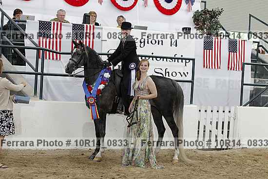 Proof Number 10r14_0833
