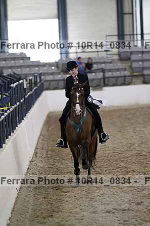 Proof Number 10r14_0834