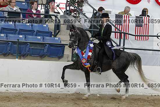 Proof Number 10r14_0859