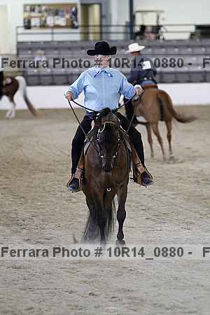 Proof Number 10r14_0880