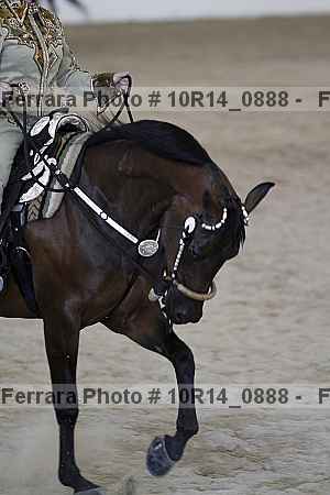 Proof Number 10r14_0888