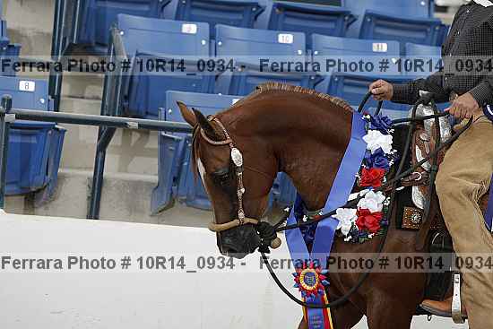 Proof Number 10r14_0934