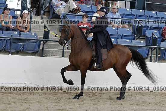 Proof Number 10r14_0950